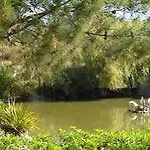 Jardins Da Ria Torreira