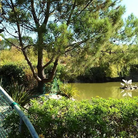 Jardins Da Ria 4* Торрейра