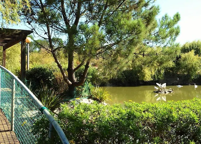 Jardins Da Ria 4* 托雷拉