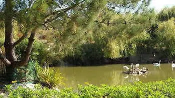 Jardins Da Ria 托雷拉